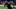 NY Jets NY Jets