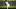 Chicago White Sox first baseman Munetaka Murakami Chicago White Sox first baseman Munetaka Murakami