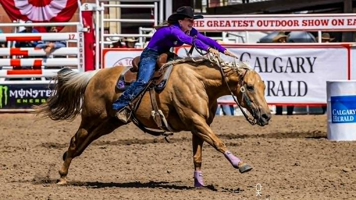 Hayle Gibson-Stillwell was all smiles as she and Piper raced home during their arena record-breaking run at the Calgary Stampede Hayle Gibson-Stillwell was all smiles as she and Piper raced home during their arena record-breaking run at the Calgary Stampede
