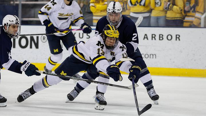 March 8, 2025; Ann Arbor, Michigan, USA; Michigan Wolverines forward T.J. Hughes (13) handles the puck during the third period at Yost Ice Arena. Mandatory Credit: Brian Bradshaw Sevald-Imagn Images