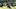 Chicago Bears wide receiver Luther Burden III. Chicago Bears wide receiver Luther Burden III.