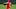 St. Louis Cardinals starting pitcher Michael McGreevy