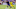 Oct 9, 2022; Orlando, Florida, USA; Orlando City midfielder Junior Urso (11) shoots for goal in Oct 9, 2022; Orlando, Florida, USA; Orlando City midfielder Junior Urso (11) shoots for goal in