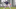 Tampa Bay Rays third baseman Junior Caminero