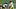 Rico Dowdle, Pittsburgh Steelers Rico Dowdle, Pittsburgh Steelers