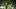oregon ducks dan lanning dylan raiola dante moore touchdown portland state vikings nebraska cornhuskers transfer quarterback oregon ducks dan lanning dylan raiola dante moore touchdown portland state vikings nebraska cornhuskers transfer quarterback