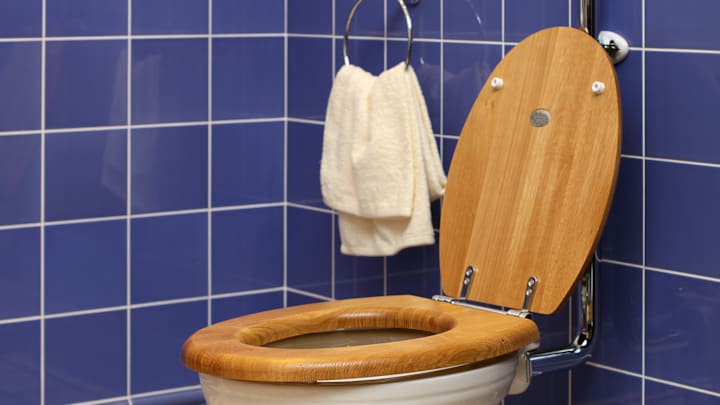 How wacky do these Guinness World Records get? You might not like the answer. 