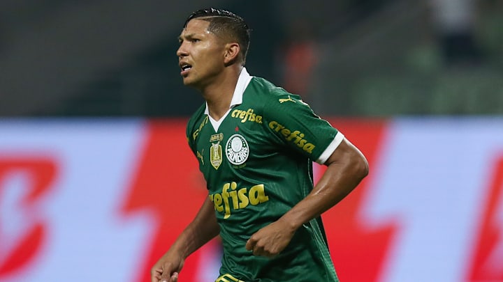 Palmeiras v Red Bull Bragantino - Brasileirao 2024