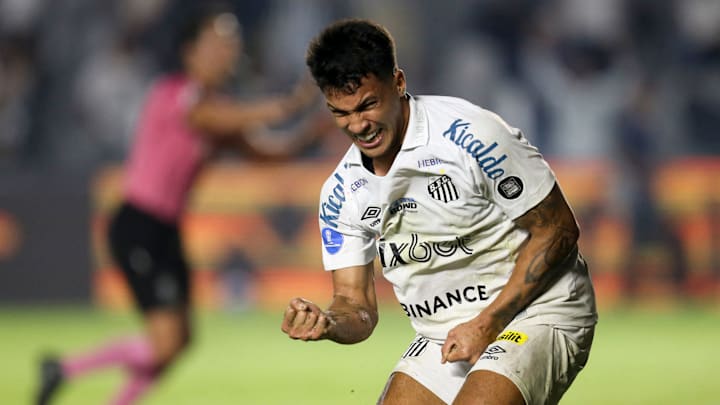 Santos vive momento delicado na temporada, com maus resultados e turbulências