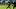 New Orleans Saints safety Elliott Davison New Orleans Saints safety Elliott Davison
