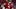 San Francisco 49ers wide receiver Demarcus Robinson, Fantasy Football San Francisco 49ers wide receiver Demarcus Robinson, Fantasy Football
