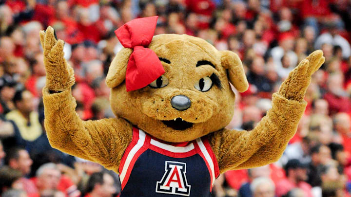 Mar 2, 2014; Tucson, AZ, USA; Arizona Wildcats mascot Wilma walks on the court during a timeout during the first half against the Stanford Cardinal at McKale Center. Arizona won 79-66. Mandatory Credit: Casey Sapio-Imagn Images