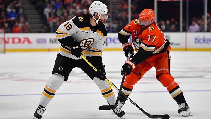 Mar 26, 2025; Anaheim, California, USA; Anaheim Ducks left wing Alex Killorn (17) plays for the puck against Boston Bruins center Pavel Zacha (18) during the third period at Honda Center. Mandatory Credit: Gary A. Vasquez-Imagn Images Mar 26, 2025; Anaheim, California, USA; Anaheim Ducks left wing Alex Killorn (17) plays for the puck against Boston Bruins center Pavel Zacha (18) during the third period at Honda Center. Mandatory Credit: Gary A. Vasquez-Imagn Images