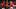 St. Louis Cardinals pitcher Riley O'Brien (61) celebrates with catcher Leo Bernal St. Louis Cardinals pitcher Riley O'Brien (61) celebrates with catcher Leo Bernal