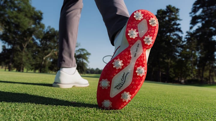 The Sun Day Red Pioneer Willow.