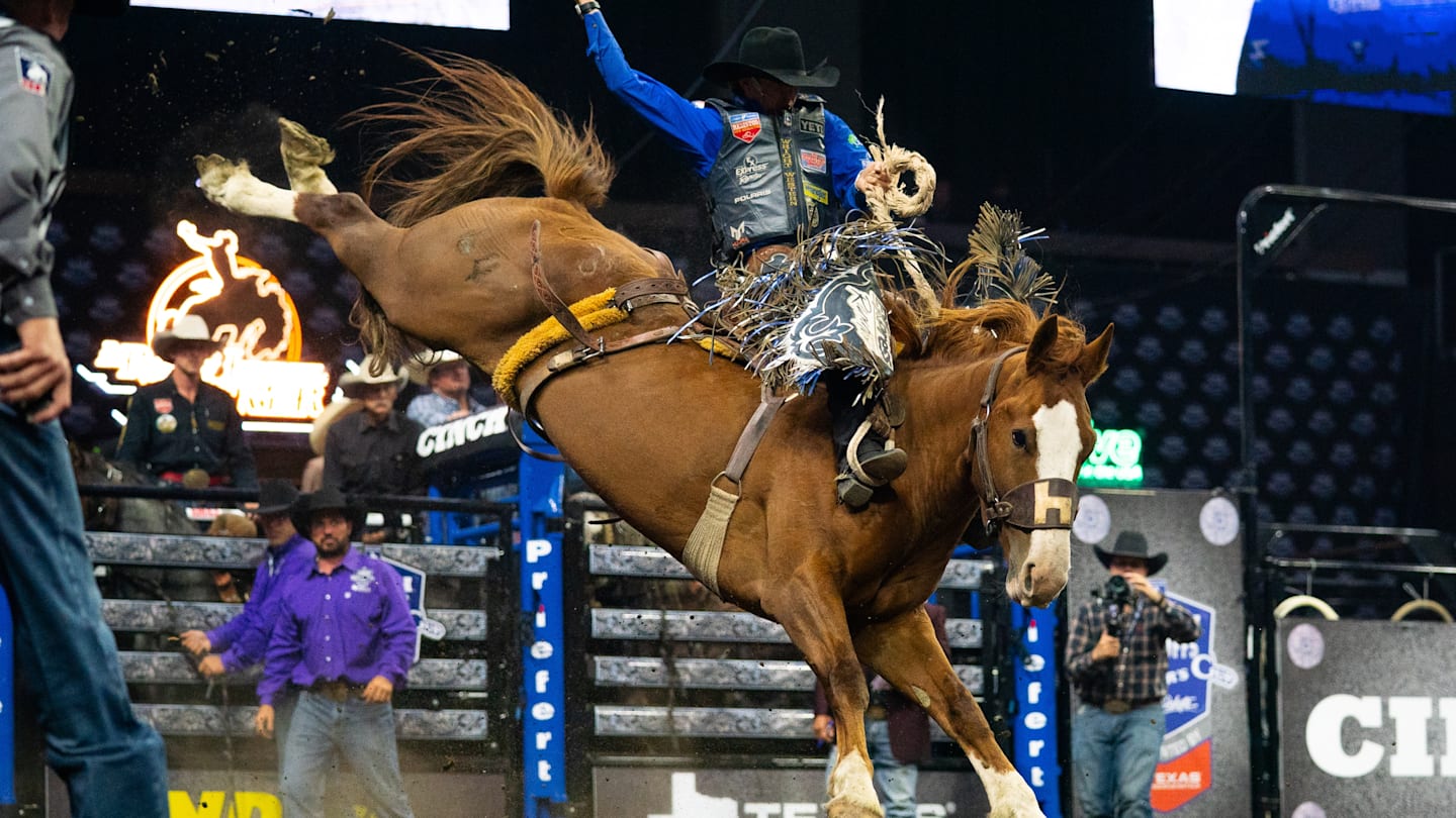 Saddle Bronc Horses to Watch at This Year's NFR