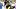 Pittsburgh Steelers tight end Pat Freiermuth Pittsburgh Steelers tight end Pat Freiermuth