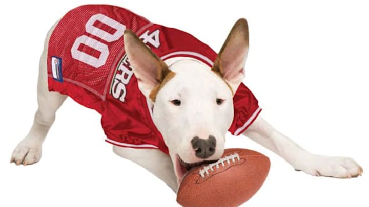 Team Gear for Pets + 40% OFF at Petco. Credit Petco
