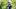 New England Patriots cornerback Christian Gonzalez (0) New England Patriots cornerback Christian Gonzalez (0)