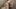 TWD_GP_302_0525_0164