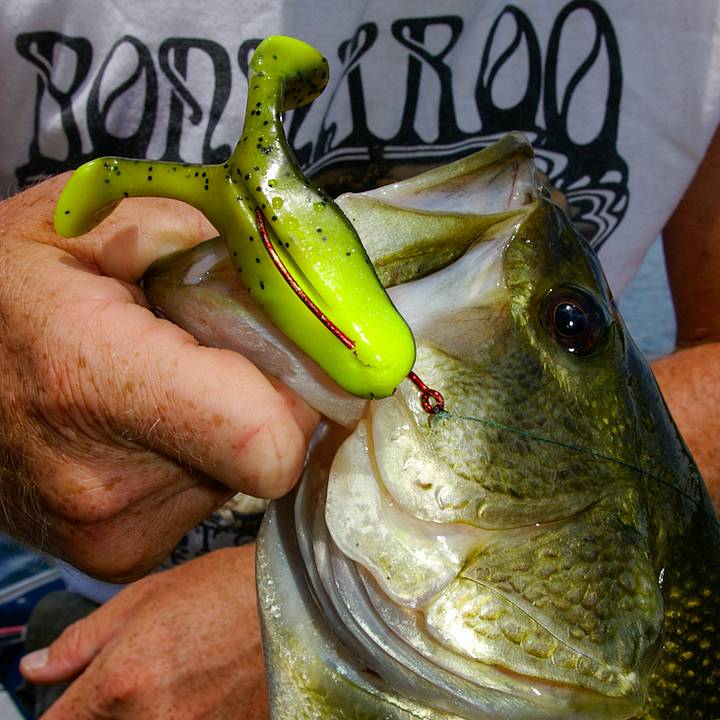 6 Soft Plastic Baits Every Largemouth Bass Angler Should Own