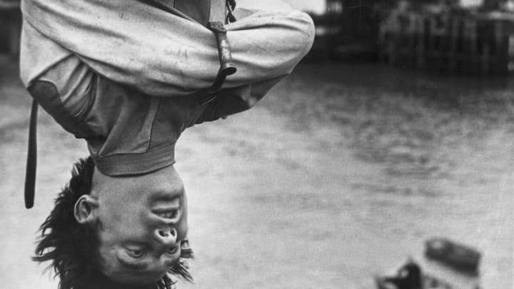 Escapologist