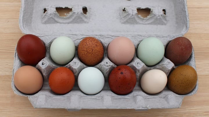 Colorful chicken eggs in a carton