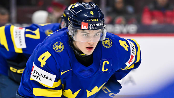 Axel Sandin Pellikka could be the most intriguing blue line prospect for the Detroit Red Wings.