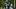 Seattle Seahawks rookie running back Jadarian Price during practice