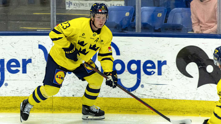 Aug 2, 2024; Plymouth, MI, USA; Sweden's forward Otto Stenberg (23) controls the puck against USA during the second period of the 2024 World Junior Summer Showcase at USA Hockey Arena. Mandatory Credit: David Reginek-Imagn Images