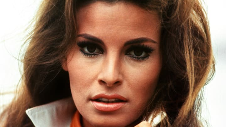 Actress Raquel Welch