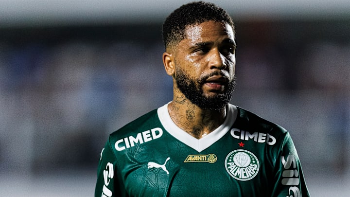 Santos v Palmeiras - Brasileirao 2025