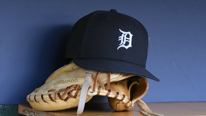 Tampa Bay Rays v Detroit Tigers