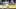 Zäher Poker um Said El Mala: Der BVB lockt das Kölner Ausnahmetalent mit einem Rekordangebot nach Dortmund
