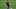 Arthur Melo