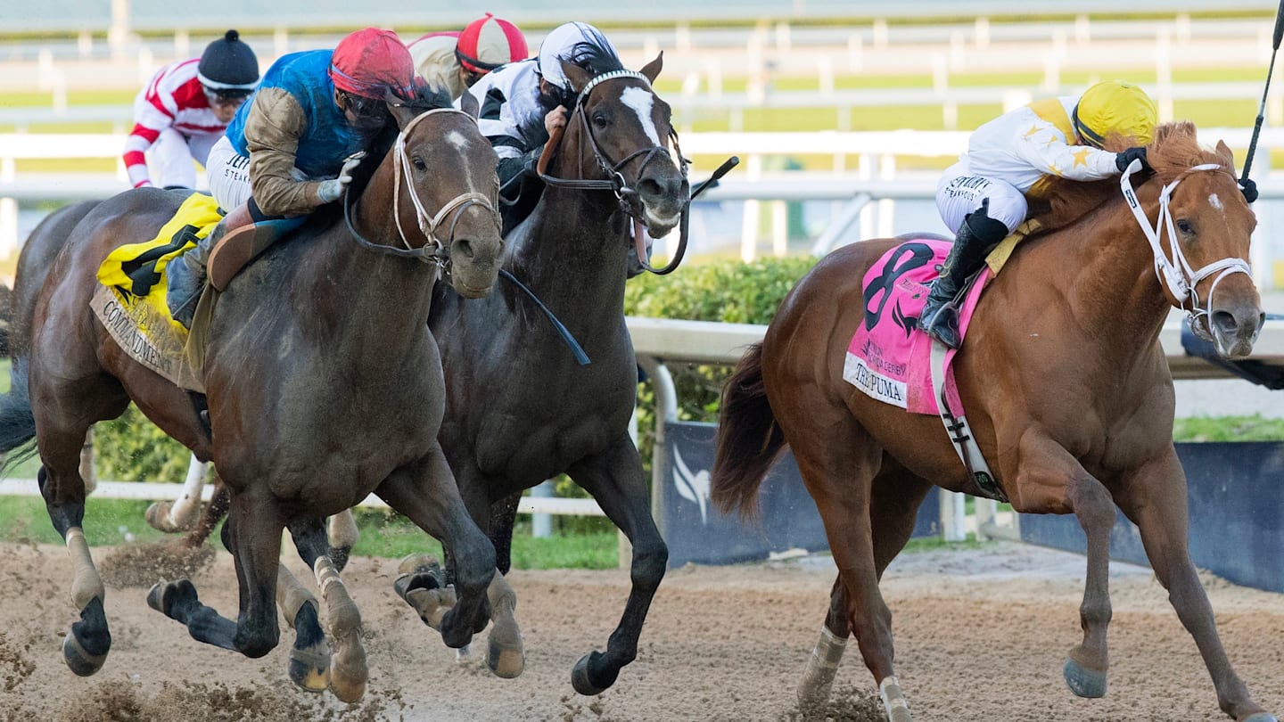 The Best Picks and Predictions for the Kentucky Derby on May 2nd, 2026