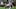 Seattle Seahawks running back Zach Charbonnet, Fantasy Football Seattle Seahawks running back Zach Charbonnet, Fantasy Football