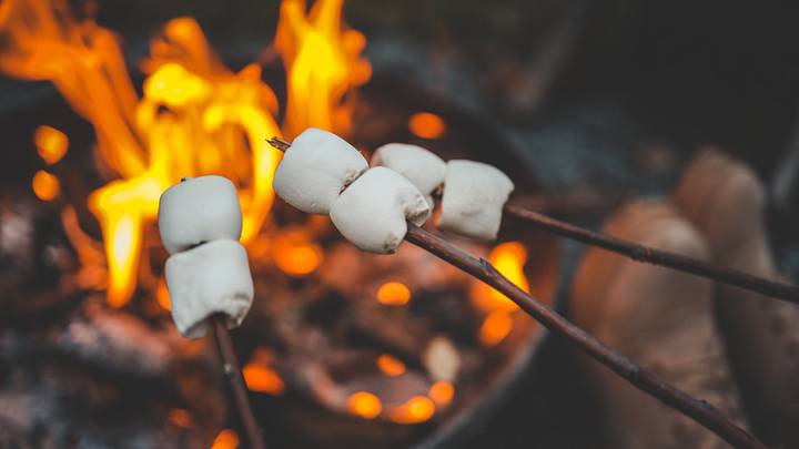 Group of people roasting marshmallows over a campfire, holding sticks with marshmallows Group of people roasting marshmallows over a campfire, holding sticks with marshmallows