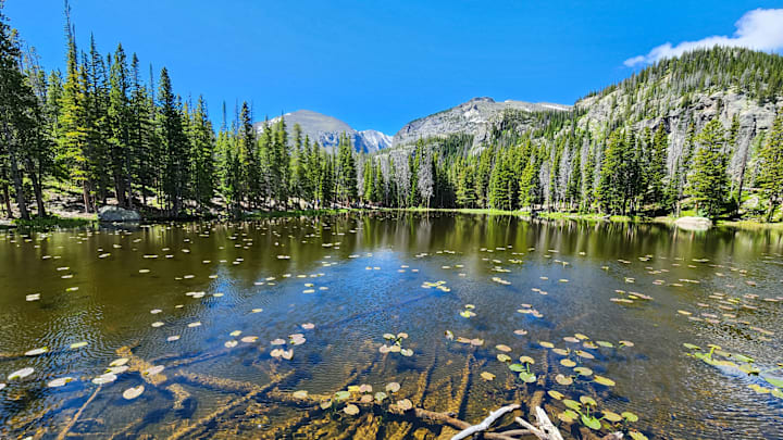 A possible pond.