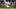 Chicago White Sox right fielder Braden Montgomery Chicago White Sox right fielder Braden Montgomery