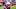 New England Patriots cornerback Alex Austin New England Patriots cornerback Alex Austin