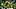 Oregon outside linebacker Teitum Tuioti, defensive lineman A'Mauri Washington and outside linebacker Matayo Uiagalelei