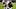 Chicago Bears safety Dillon Thieneman. Chicago Bears safety Dillon Thieneman.
