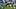  Tennessee Titans quarterback Marcus Mariota