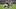 Minnesota Vikings running back Aaron Jones Sr. injury update