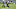 baltimore ravens, melvin gordon baltimore ravens, melvin gordon