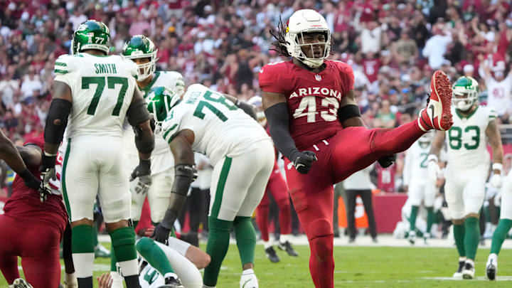 Arizona Cardinals linebacker Jesse Luketa (43) celebrates a sack against the New York Jets during the second quarter at State Farm Stadium.
