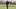 Rising College Football Contender Set to Plummet in New Rankings After Bad Loss Rising College Football Contender Set to Plummet in New Rankings After Bad Loss