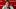 Tampa Bay Buccaneers general manager Jason Licht talks to media after training camp at AdventHealth Training Center. Tampa Bay Buccaneers general manager Jason Licht talks to media after training camp at AdventHealth Training Center.