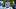 Andrew Nelles / The Tennessean / USA TODAY NETWORK via Imagn Images